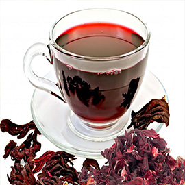 hibiskus_cafeobscura.JPG
